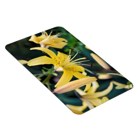 4x6 flat Magnet Magneet (Rechterzijde)