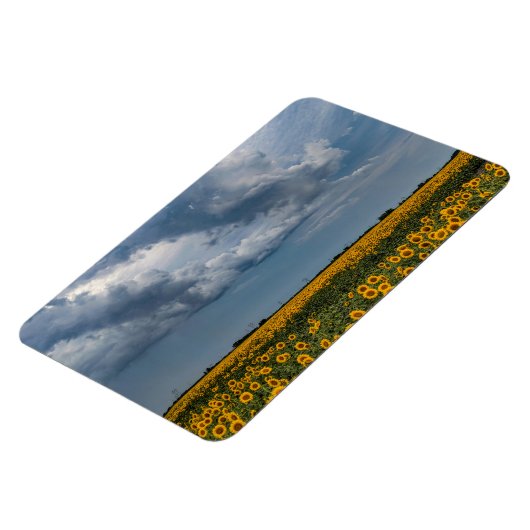 4x6 flat Magnet Magneet (Linkerzijde)