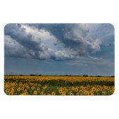 4x6 flat Magnet Magneet (Horizontaal)