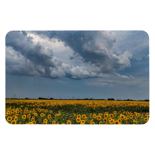 4x6 flat Magnet Magneet (Horizontaal)