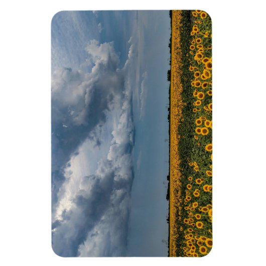 4x6 flat Magnet Magneet (Verticaal)