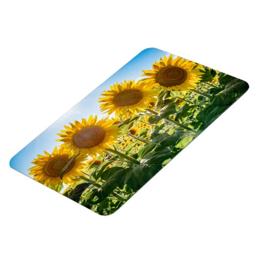 4x6 flat Magnet Magneet (Linkerzijde)