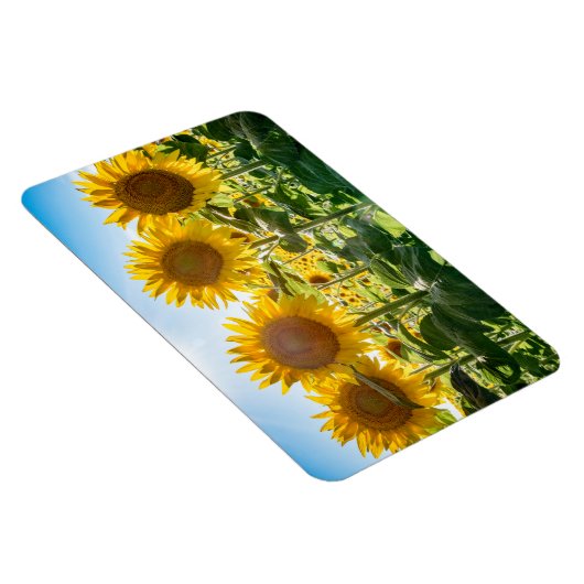 4x6 flat Magnet Magneet (Rechterzijde)