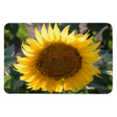 4x6 flat Magnet Magneet (Horizontaal)