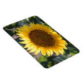 4x6 flat Magnet Magneet (Rechterzijde)