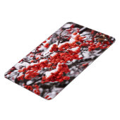 4x6 flat Magnet Magneet (Linkerzijde)