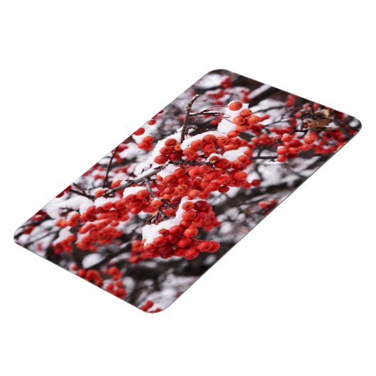 4x6 flat Magnet Magneet (Linkerzijde)