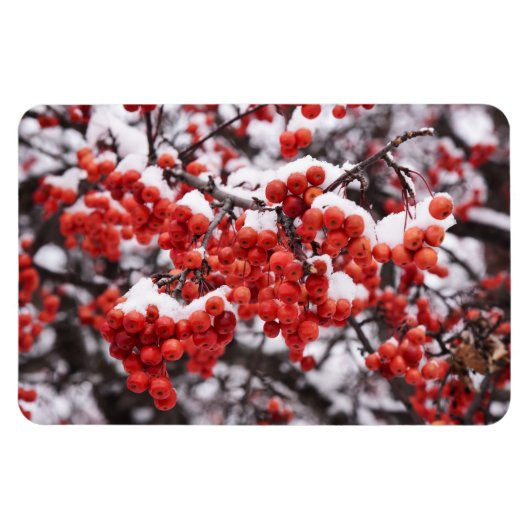 4x6 flat Magnet Magneet (Horizontaal)