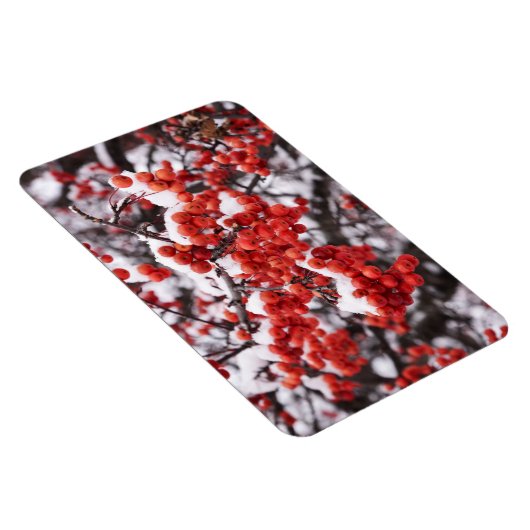 4x6 flat Magnet Magneet (Rechterzijde)