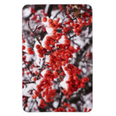 4x6 flat Magnet Magneet (Verticaal)