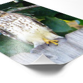 4x6 foto van de wieg afdruk (Hoek)