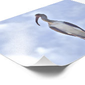 4x6 foto van kraan foto afdruk (Hoek)