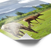 4x6 Fotopapier (Satin) van elk Foto Afdruk (Hoek)