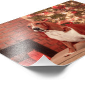 4x6 Hond bij Kerstmis Foto Afdruk (Hoek)