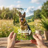 4x6 Pet Photo Print Personalized with Name & Date Foto Afdruk
