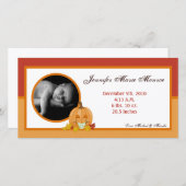 4x8 Herfst Herfst Pompoen Foto Geboorteaankondigin Aankondiging (Voorkant / Achterkant)