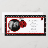 4x8 rode lieveheersbeestje Fotogeboorteaankondigin Aankondiging (Voorkant / Achterkant)