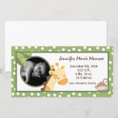 4x8 Safari Adventure Photo Aankondiging van geboor (Voorkant / Achterkant)