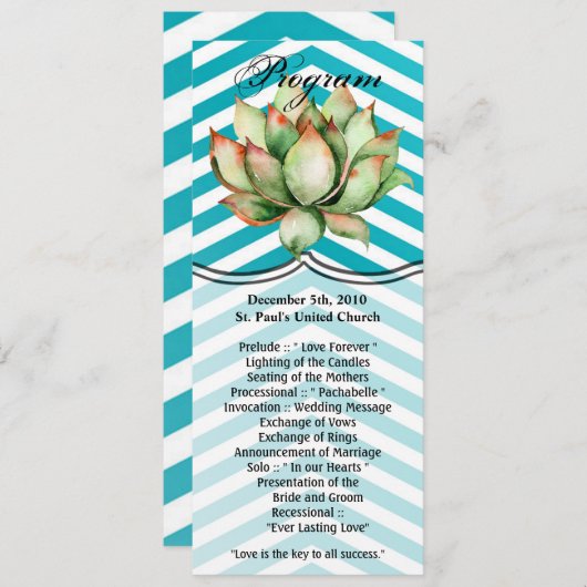 4x9.25 Programma Kaarten Boho Cacti Cactus Succule (Voorkant / Achterkant)