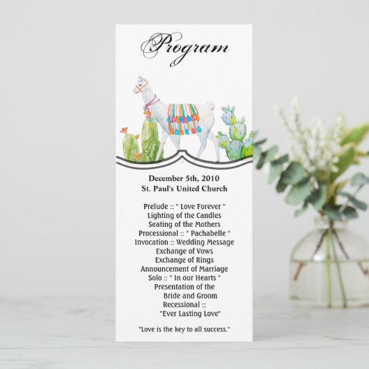 4x9.25 Programma Kaarten Boho Llama Bohemian Cacti (Staand voorkant)