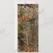 4x9 Ontvangstkaart Hertenkoppel Hinde Bok Camo Kaart (Achterkant)