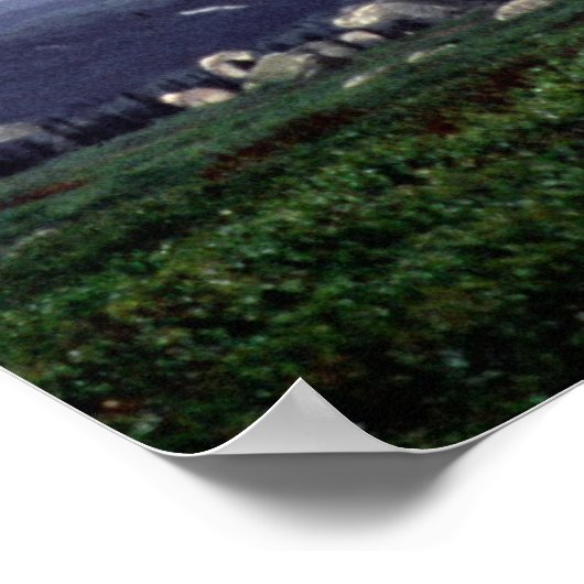 501e para infanterie poster (Hoek)