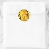 $50 Gouden Munt 3" Stickers (Tas)