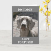 "50" HOE KAN HET WEIMARANERKAART WORDEN GEZEGD KAART (Gele Bloem)