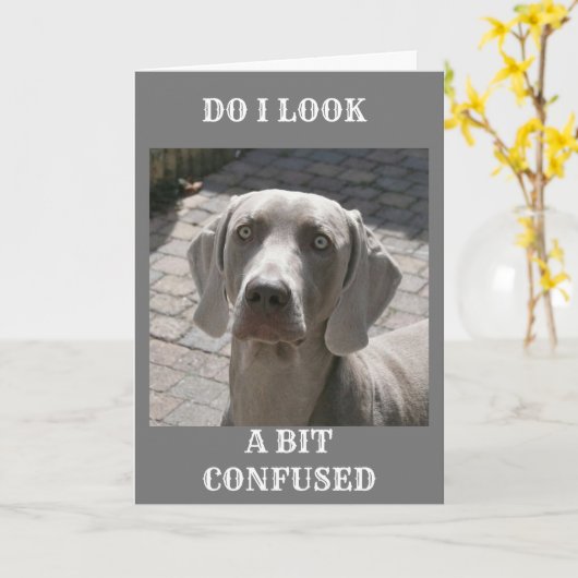 "50" HOE KAN HET ZEGGEN WEIMARANER KAART (Gele Bloem)