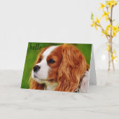 **50** HOE VOELT HET TWEEDE DAG HUMOR? KAART (Gele Bloem)