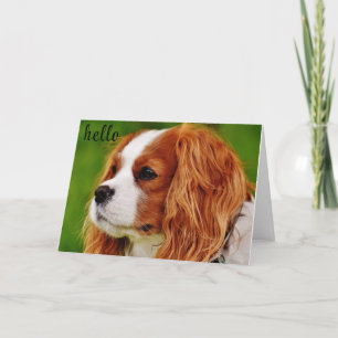 **50** HOE VOELT HET TWEEDE DAG HUMOR? KAART