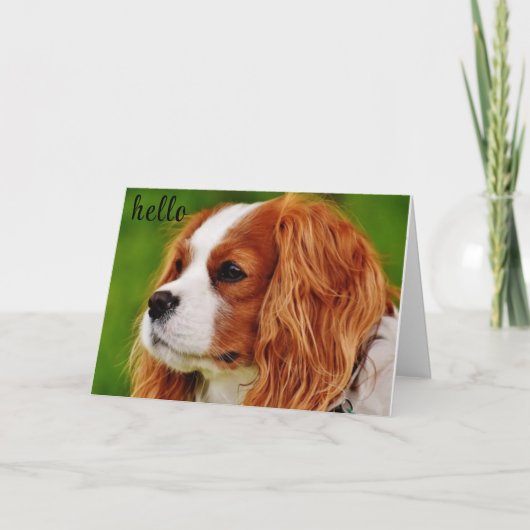 **50** HOE VOELT HET TWEEDE DAG HUMOR? KAART (Voorkant)