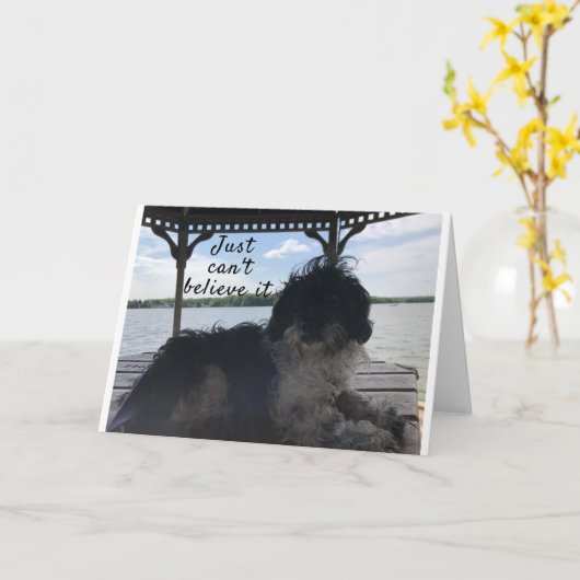 **50** HOE VOELT U DE KAART VAN DE BIRTHDAY-HUMOR (Gele Bloem)