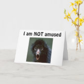 **50?** JE ZIET ER GEEN DAG OUDER UIT DAN 49??? BI KAART (Gele Bloem)