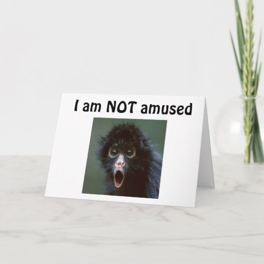 **50?** JE ZIET ER GEEN DAG OUDER UIT DAN 49??? BI KAART (Voorkant)