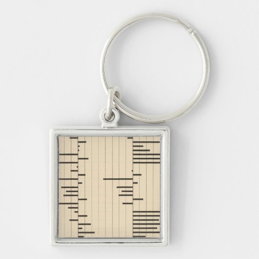 50 Netto migratie door staten 1900 Sleutelhanger (Voorkant)