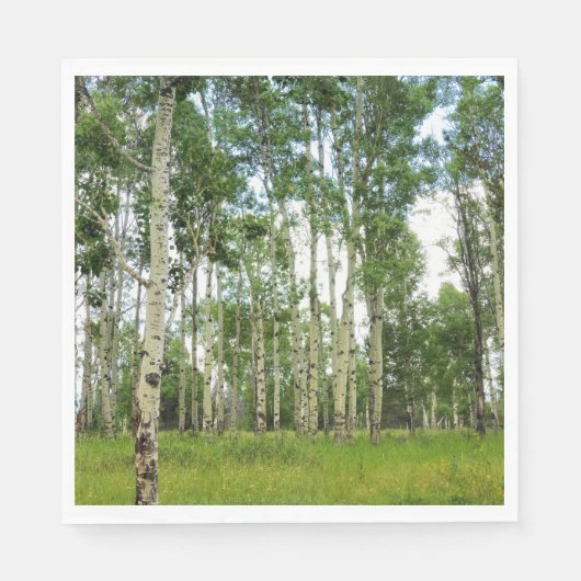 50 papieren servetten quaking Aspens (Voorkant)