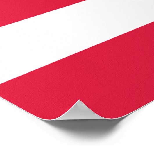 50 Star Flag Verenigde Staten Poster (Hoek)