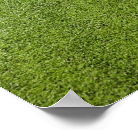 50 yard line poster (Hoek)