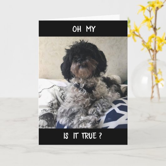 **50** ZIET ER GEWELDIG UIT! FIJNE VERJAARDAG KAART (Gele Bloem)