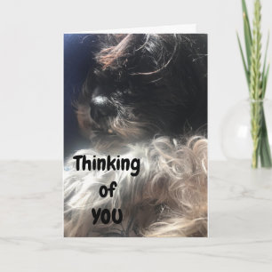 "50e BIRTHDAY" DENKT VAN JE DAT IK ALTIJD DOE! Kaart