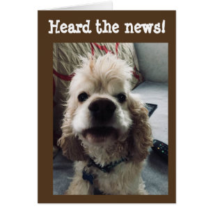 **50e BIRTHDAY** HUMOR UIT PUP