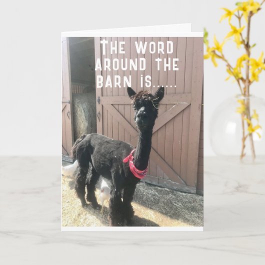 "50e BIRTHDAY??? JE KAN NIET GELOVEN DAT IT Kaart (Gele Bloem)