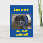 "50e BIRTHDAY" ZO VERTROUWD-IK KAN HET NIET BEHOOR Kaart (Voorkant)