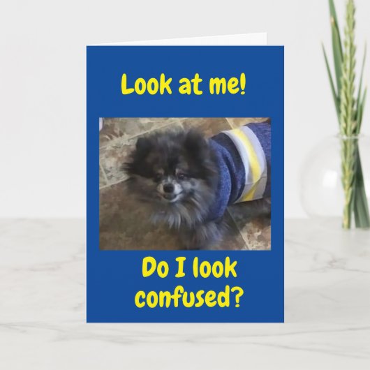 "50e BIRTHDAY" ZO VERTROUWD-IK KAN HET NIET BEHOOR Kaart (Voorkant)