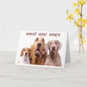 **50e**** GROTE DAG **HOE WAT??** Kaart (Gele Bloem)