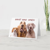 **50e**** GROTE DAG **HOE WAT??** Kaart (Voorkant)