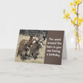 **50e HUMOR op de halve dag, afkomstig van DONKEYS Kaart (Gele Bloem)