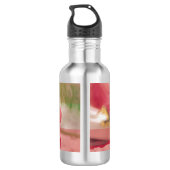 50e Jubileum van de religieuze overtuiging roze Ro Waterfles (Achterkant)