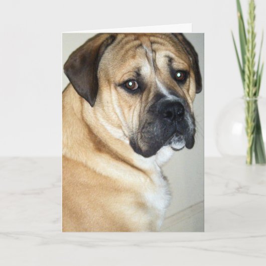 50E MAAR NOG STEEDS DE HOND. KAART (Voorkant)